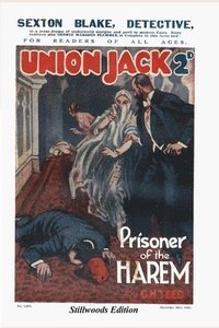 bokomslag Prisoner of the Harem