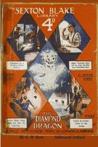 bokomslag Diamond Dragon