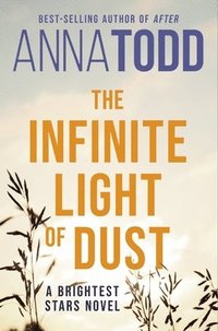 bokomslag The Infinite Light of Dust