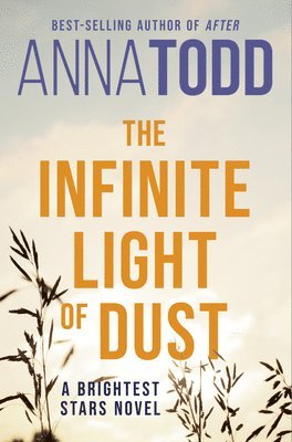 The Infinite Light of Dust 1