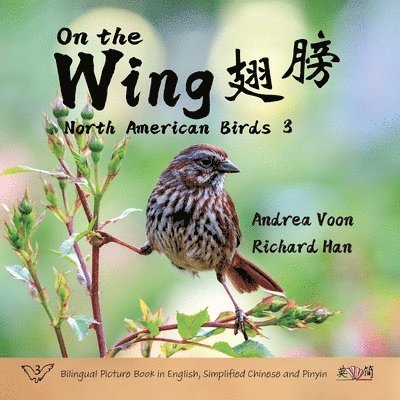 On the Wing &#32709;&#33152; - North American Birds 3 1