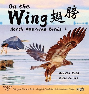 On the Wing - North American Birds 1 1