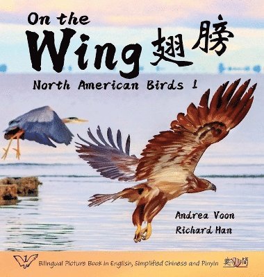 On the Wing &#32709;&#33152; - North American Birds 1 1