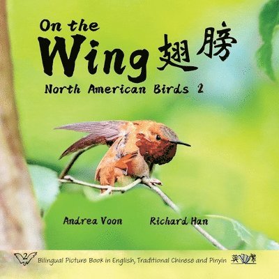 On The Wing &#32709;&#33152; - North American Birds 2 1