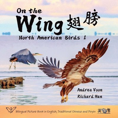 On the Wing &#32709;&#33152; - North American Birds 1 1