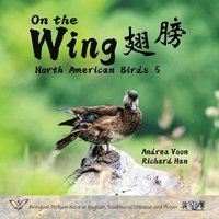 bokomslag On the Wing &#32709;&#33152; - North American Birds 5: Bilingual Picture Book in English, Traditional Chinese and Pinyin
