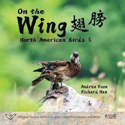 Andrea Voon - On the Wing 翅膀 - North American Birds 5, Häftad. Tillgänglighet: Lägg i varukorg
