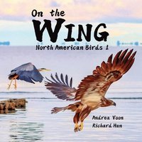 bokomslag On the Wing - North American Birds 1