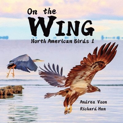 On the Wing - North American Birds 1 1