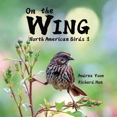 On the Wing - North American Birds 3 1