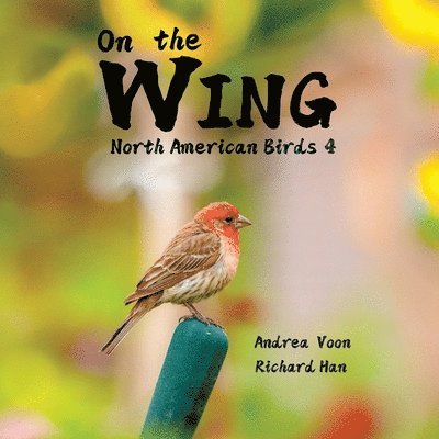 On the Wing - North American Birds 4 1