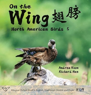 bokomslag On the Wing &#32709;&#33152; - North American Birds 5