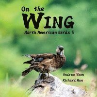 On the Wing - North American Birds 5 1