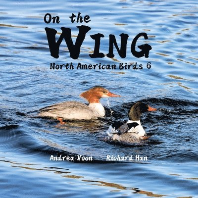 On the Wing - North American Birds 6 1