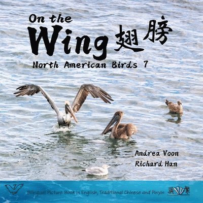 On the Wing &#32709;&#33152; - North American Birds 7 1