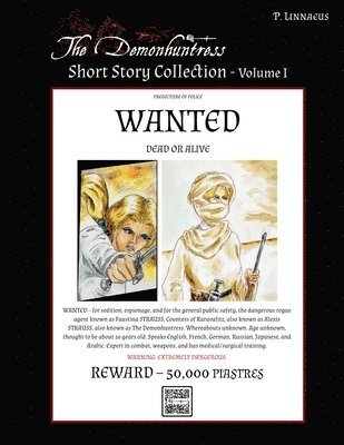 The Demonhuntress Short Story Collection - Vol 1 1