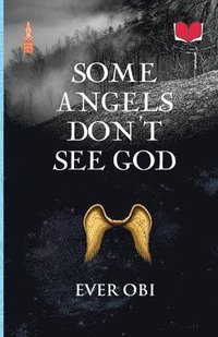 bokomslag Some Angels Don't See God