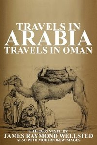 bokomslag Travels in Arabia