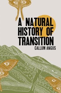 bokomslag A Natural History of Transition