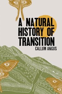 bokomslag Natural History of Transition