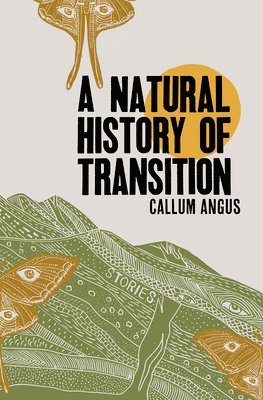 bokomslag Natural History of Transition