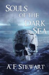 bokomslag Souls of the Dark Sea