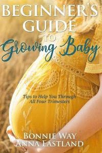 bokomslag Beginner's Guide to Growing Baby