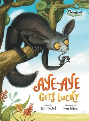 bokomslag Aye-Aye Gets Lucky