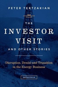 bokomslag Investor Visit and Other Stories