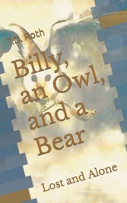 Billy, an Owl, and a Bear 1