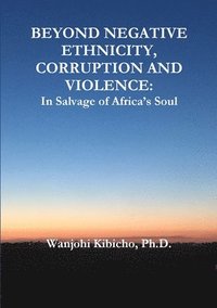 bokomslag Beyond Negative Ethnicity, Corruption and Violence