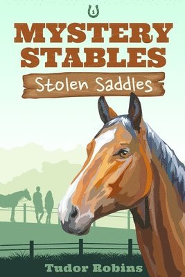 bokomslag Stolen Saddles