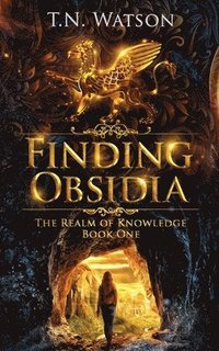 bokomslag Finding Obsidia