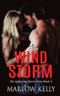 bokomslag Wind Storm