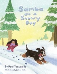 bokomslag Samba on a Snowy Day