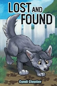 bokomslag Lost and Found