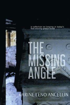 bokomslag Missing Angle