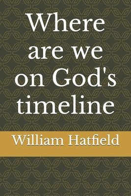 bokomslag Where are we on God's timeline