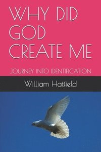 bokomslag Why Did God Create Me: Journey Into Identification