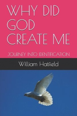 Why Did God Create Me: Journey Into Identification 1