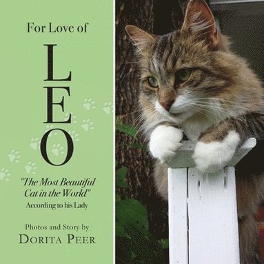 bokomslag For Love of Leo
