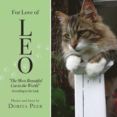 For Love of Leo 1