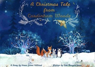 Christmas Tale from Cardinham Woods