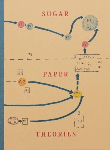 bokomslag Sugar Paper Theories