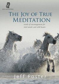 bokomslag The joy of True Meditation
