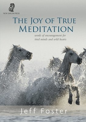 Jeff Foster - joy of True Meditation, Häftad