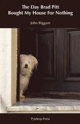 John Biggam - Day Brad Pitt Bought My House For Nothing, Häftad