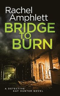 bokomslag Bridge to Burn