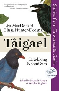 bokomslag Taigael: Stories from Taiwanese & Gaelic