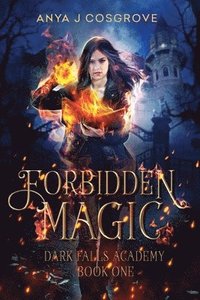 bokomslag Forbidden Magic